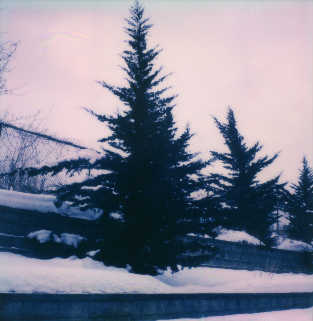 A evergreen tree in the snow next to an elevated train track.